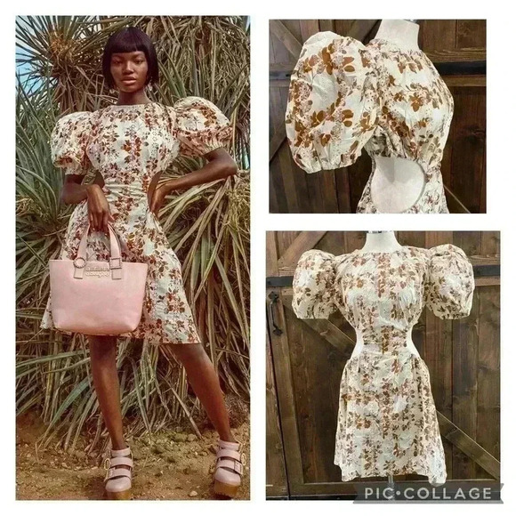 NWT Autumn Adeigbo Ilona Embroidered Eyelet Floral Cotton Dress Women’s Size 12